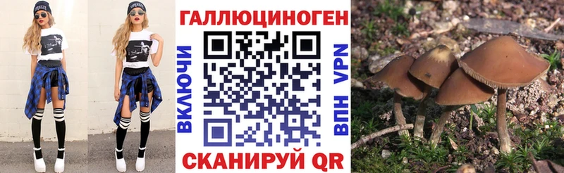 где можно купить наркотик  мориарти наркотические препараты  Псилоцибиновые грибы Psilocybine cubensis  Инсар 